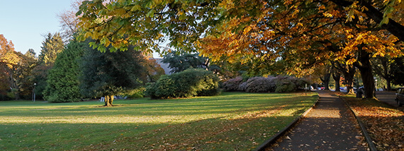 amenities image